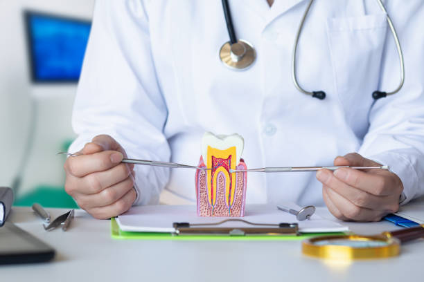 Best Emergency Root Canal Treatment in Kensington Park, FL